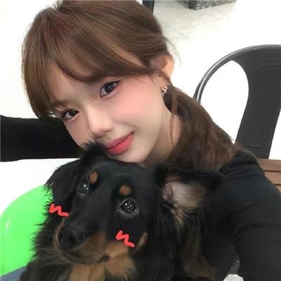 美国派4：美国重逢